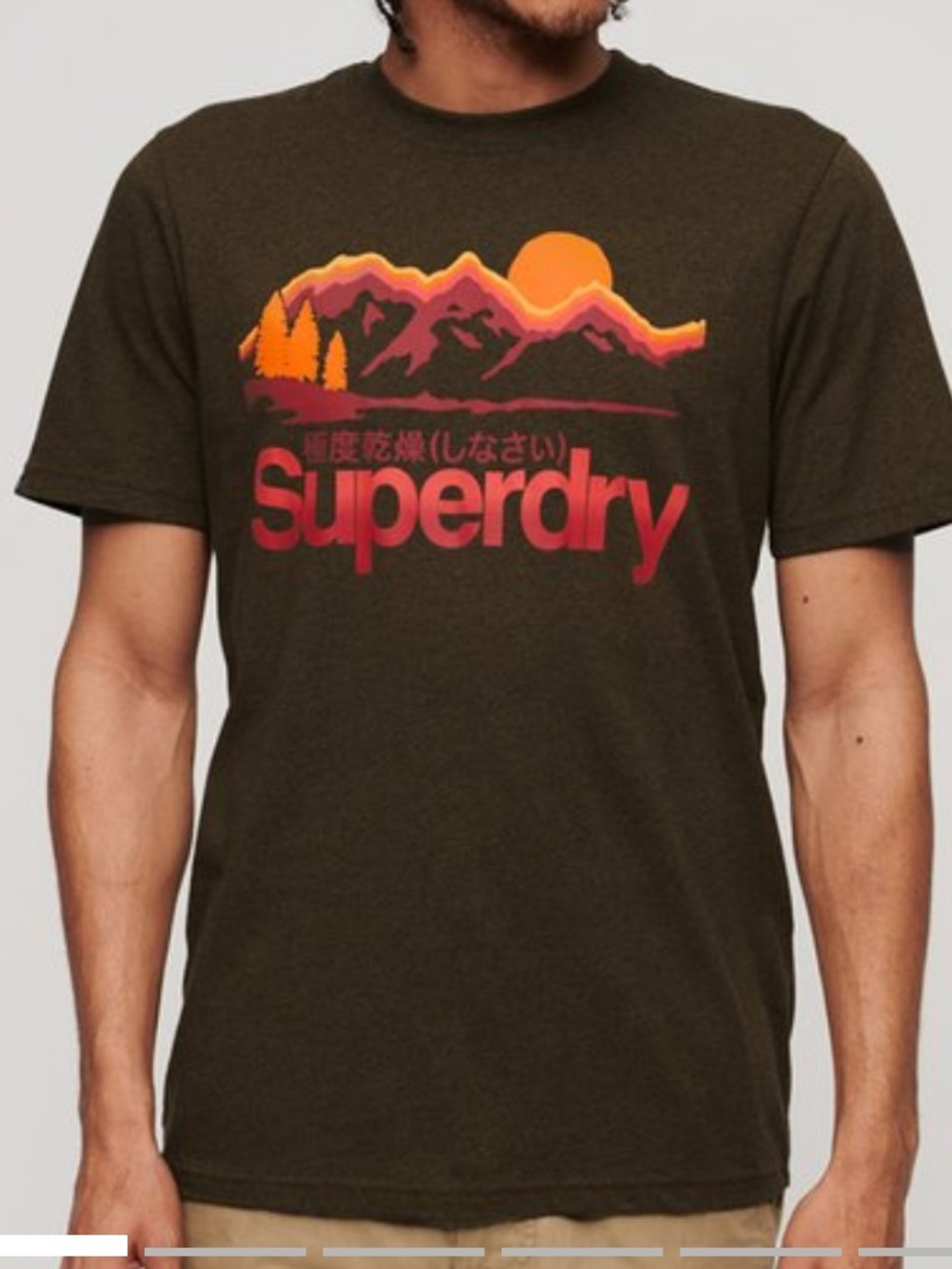 Superdry Core Logo Great Outdoors T-Shirt size 2xl